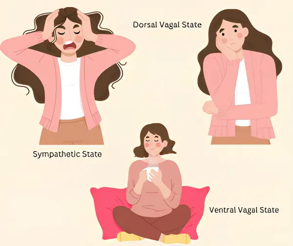 Polyvagal states: self-assessment